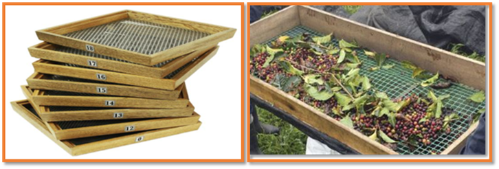 Un jardín con comida

Descripción generada automáticamente con confianza media